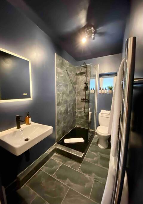 Stylish Studio For 3 Near Regents Park N4 London Luaran gambar