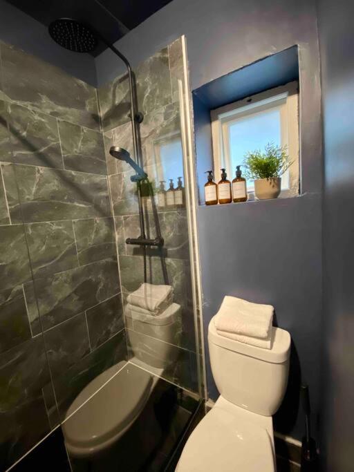 Stylish Studio For 3 Near Regents Park N4 London Luaran gambar
